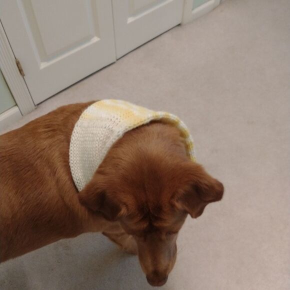 Hand Crafted Extra Large Knit Pet Ininity Scarve Dog Clothes Winter Pull Over - Picture 3 of 7